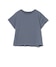 GREYISH BLUE