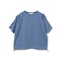 GRAYSH BLUE