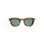 TBD EYEWEAR / DONEGAL バイオアセテートフレーム サングラス