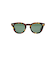 BROWNxGREEN