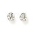 プレートピアス