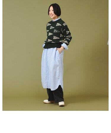 ペナント ニット プルオーバー