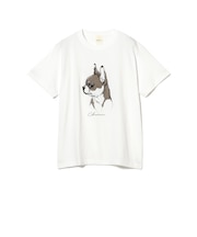 fLAnsisCA / Print Tshirt 25SS 8