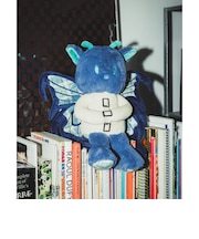 Hi Bridge Books / SoftToy