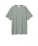 ASH_GREEN/501