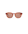 HAVANA/BROWN