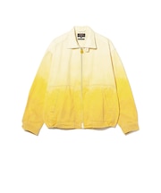 Short Blouson Gradation Print