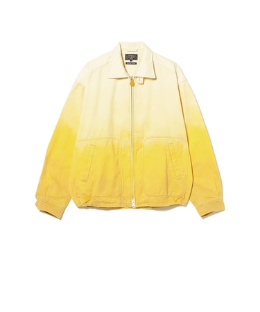 Short Blouson Gradation Print
