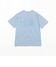DUSTY_BLUE