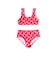 SEAESTA SURF / Wavy Checks Sport Two Piece Swimsuit（3～8才）