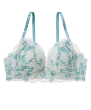 ナイスバディブラ