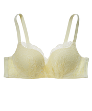 毎日がお茶の子さいさいブラ