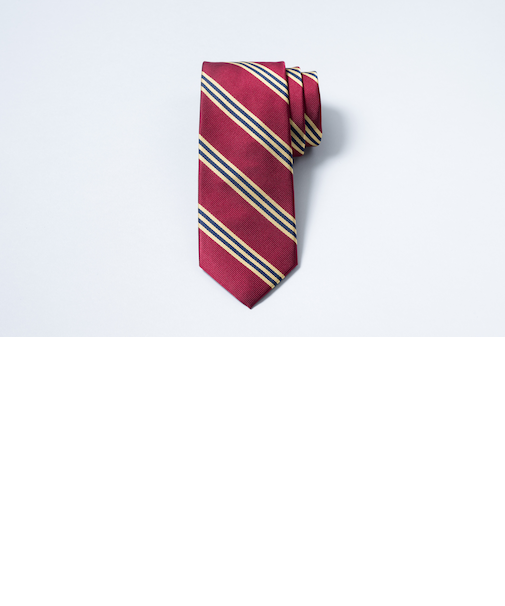 BB#1ストライプ　レップタイ