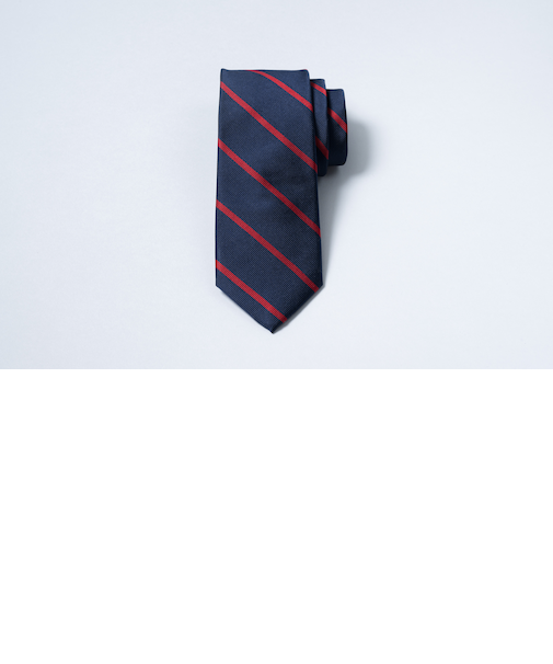 BB#3 ストライプ　レップタイ