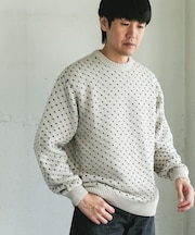 変形バーズアイ クルーネックニット