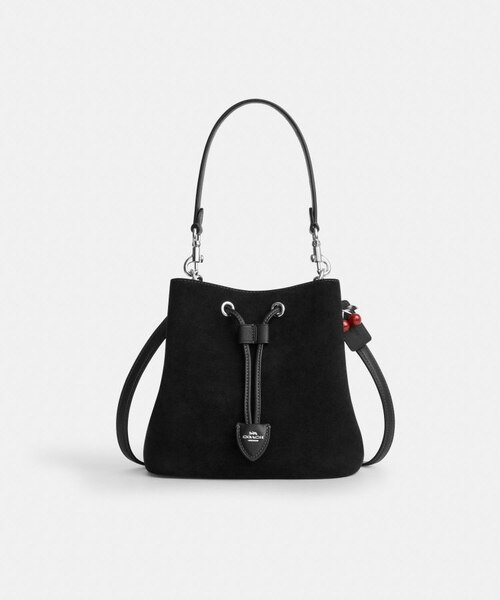 公式】ローアン バケット バッグ・チェリー チャーム｜コーチ