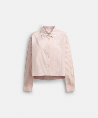 【公式】コットン ボタン ダウン