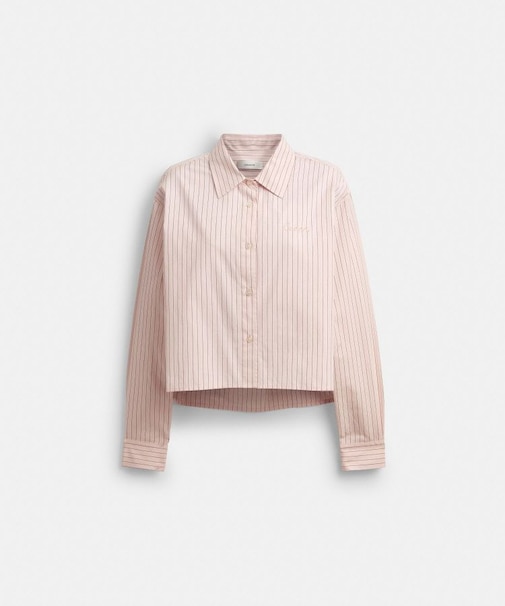 【公式】コットン ボタン ダウン