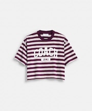 【公式】ストライプ クロップド Tシャツ