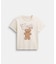【公式】テディ スタッフィー Tシャツ