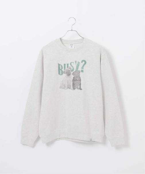 NEW ドッグ＆キャット柄 アソートクルーネックスウェット