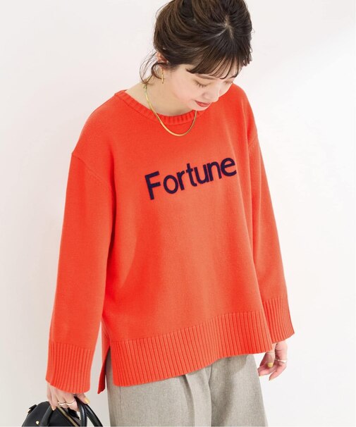 手洗い可 / アップリケロゴニット