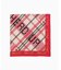 THE INOUE BROTHERS / ザ イノウエブラザーズ LE TINGS SCARF