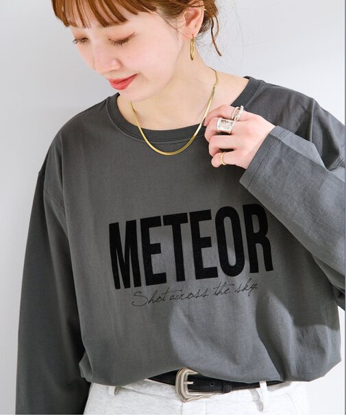 手洗い可 / フロッキーオーバーロンTEE