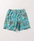 Eddie Bauer / エディーバウアー 別注 Tidal Shorts