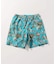 Eddie Bauer / エディーバウアー 別注 Tidal Shorts