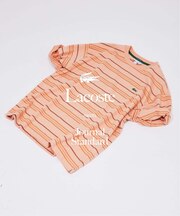 LACOSTE / ラコステ 別注 マルチ ストライプ クルーネック Tシャツ