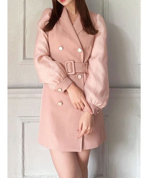 スリーブシアーミニワンピース