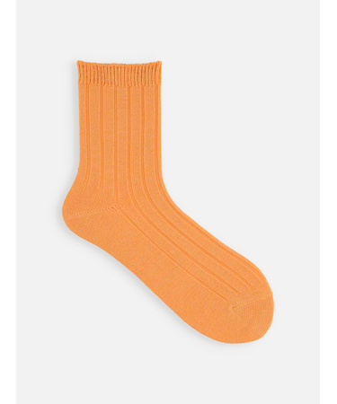 【定番】太リブソックス