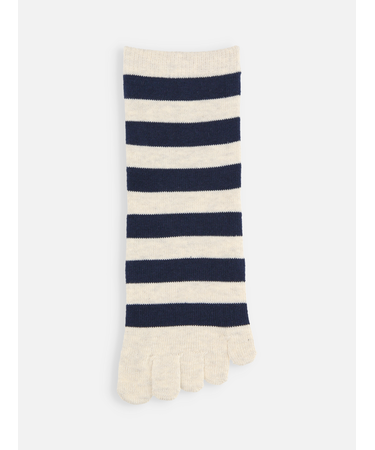 五本指ボーダーソックス