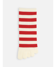 五本指ボーダーソックス