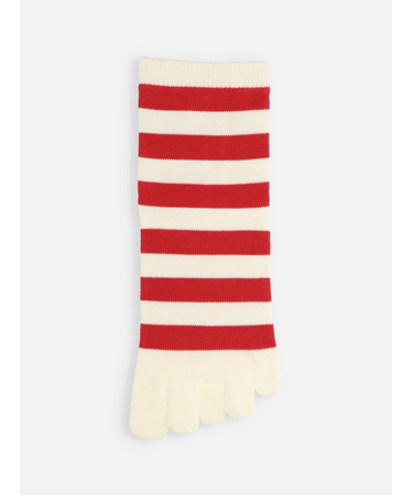 五本指ボーダーソックス