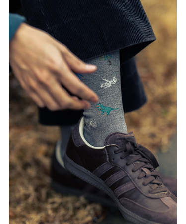 【Tabio MEN】 恐竜柄レギュラーソックス