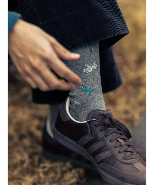 【Tabio MEN】 恐竜柄レギュラーソックス