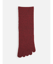 【絹肌Labo】絹紬糸五本指引き揃えソックス