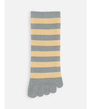 五本指ボーダーショートソックス