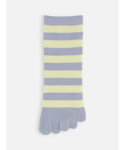 五本指ボーダーショートソックス