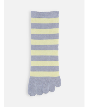 五本指ボーダーショートソックス