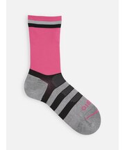 TABIO CYCLE(Lサイズ)