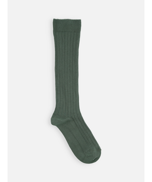 キッズ コットンリブハイソックス16～18cm