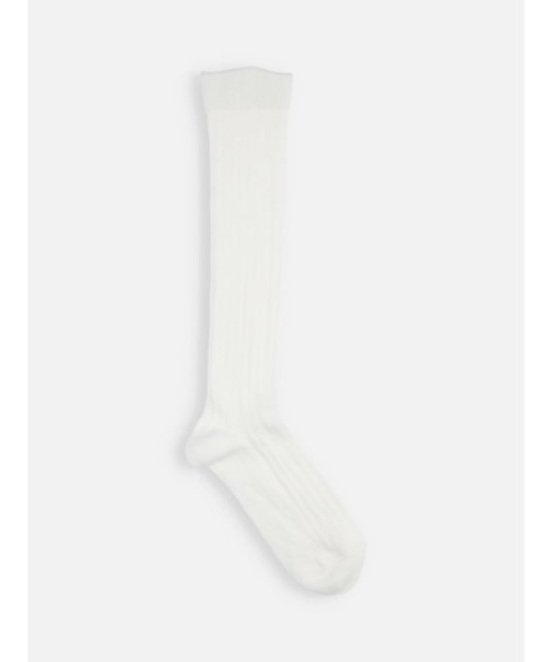 ジュニアサイズ コットンリブハイソックス22～24cm