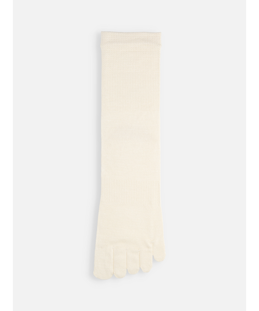 【絹肌Labo】シルクの五本指ソックス(24.0～26.0cm)