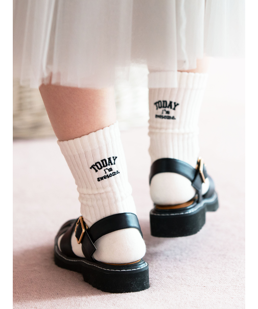 アメリブパイルロゴ刺繍ソックス