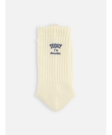 アメリブパイルロゴ刺繍ソックス