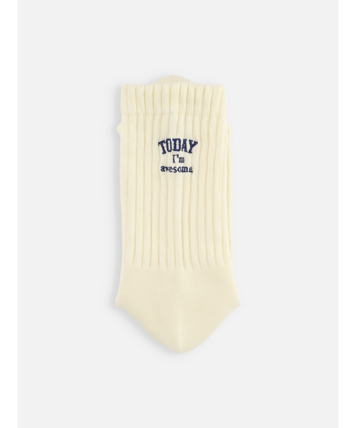 アメリブパイルロゴ刺繍ソックス