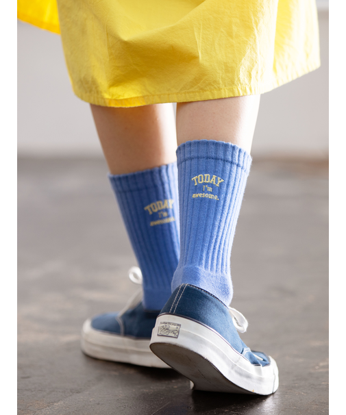 アメリブパイルロゴ刺繍ソックス